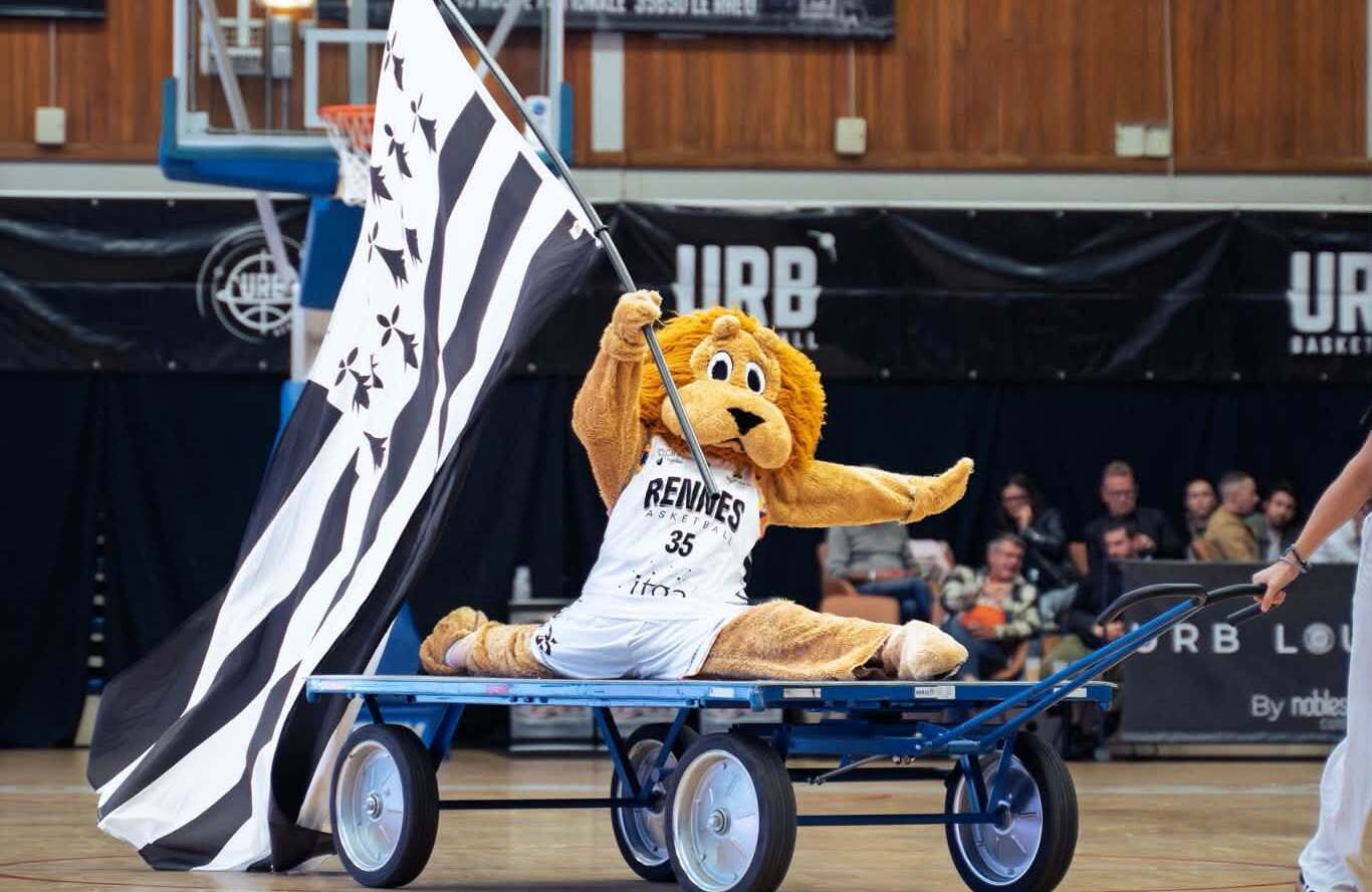 Un derby breton à sens unique : Rennes atomise Vitré